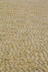The beach and sand.