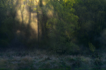 Światło © Tomek Kiecana