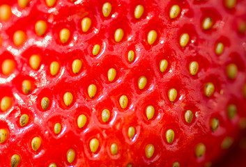 Fresh, ripe strawberry close-up. Macro photo of strawberry