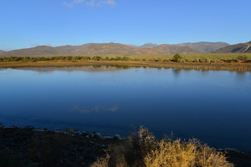 Fototapeta na wymiar A lake at the Great plains at the Western Cape of South Africa