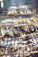 Closeup on fish in a grill