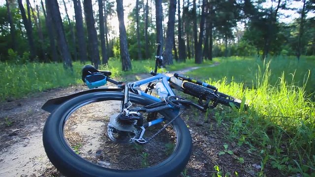 crashing bicycle accident in the summer forest