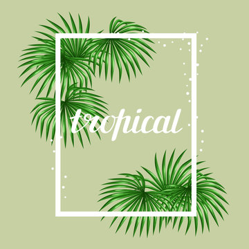 Paradise card with palms leaves. Design for advertising booklets, banners, greeting cards and flayers