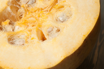 Pumpkin close up