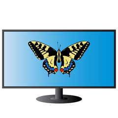 Fototapeta na wymiar butterfly blue screen plasma TV