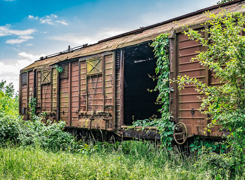 Old railway wagon derelict captured by vegetation.