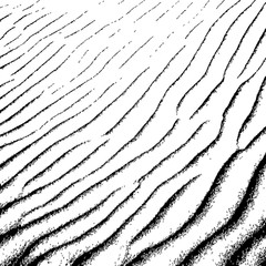 sand shaped by the wind