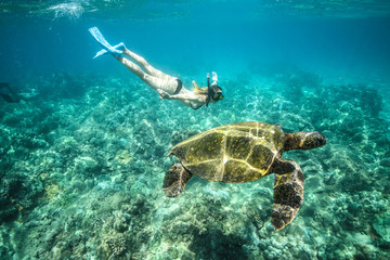 Sexy girl swims near a giant turtle. View under water