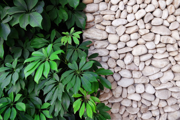 Pebble path with bush, closeup
