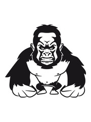 Gorilla agro monkey cool