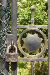 Old rusty lock on a metal gate into the garden. Lock on the iron gate. Symbol imprisonment and slavery. Property security chain. Closed iron gate with a lock. Safe lock. 
