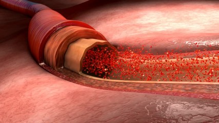 Blood flow in human body