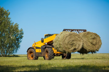 Working Harvesting Combine in the Field of Wheat