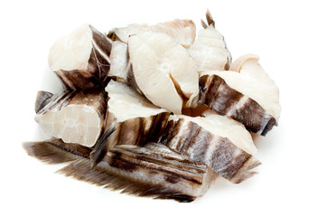 Fish chimera, sea rabbit or sea rat on white background