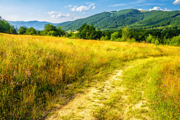road through a rural meadow on the hillside