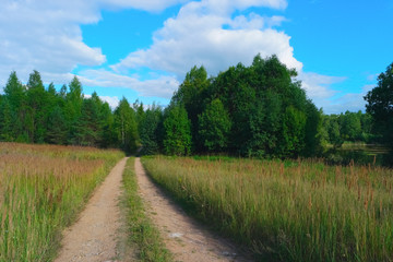 Fototapeta na wymiar Summer landscape with sky, clouds, trees, grass and road