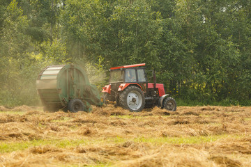 Working Harvesting Combine in the Field of Wheat