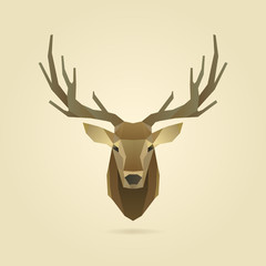 deer portrait realistic