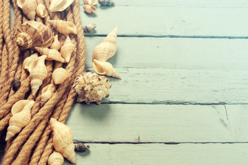 Summer concept with sandy beach, shells and cord.