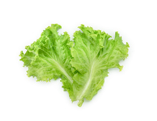 Lettuce leaf on white background,Salad ingredient