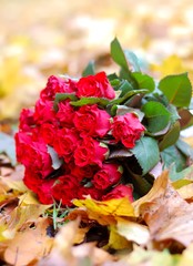 Bouquet of red roses on yellow leafs