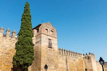 Obraz premium Medieval wall of the city of Cordoba, Spain