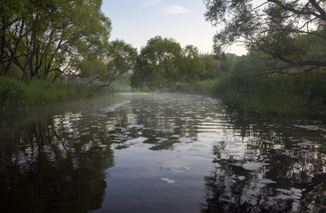 Summer landscape with river