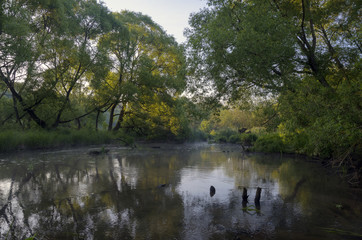 Fototapeta na wymiar Small forest river