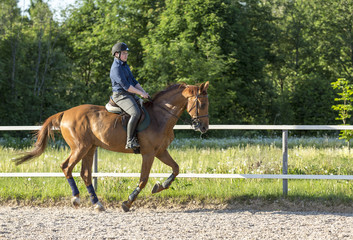 Тренировка. Конный спорт.