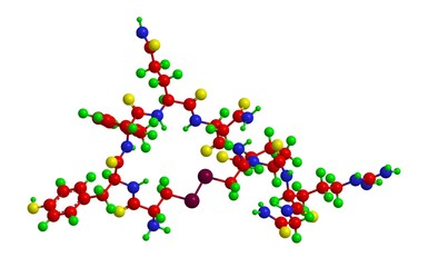 Molecular structure of Argipressin (Vasopressin), 3D rendering