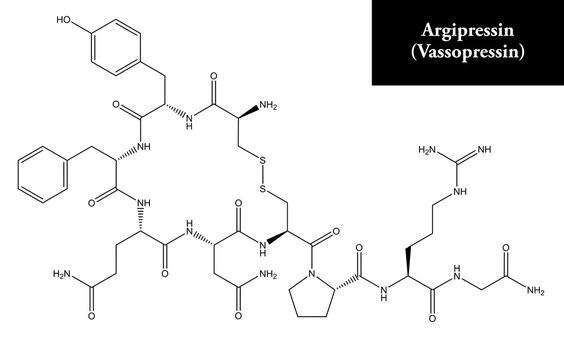 Molecular structure of Argipressin (Vasopressin)