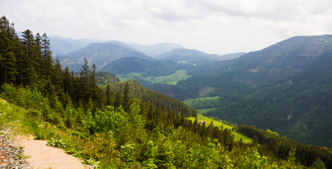 Fototapeta na wymiar Alpine mountain hiking path near Schneeberg, in Lower Austria