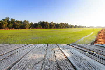 The landscap background retouch in fram