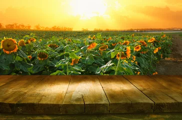 Papier Peint photo Tournesol table en bois vide devant le champ de tournesols