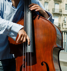 Playing a musical instrument - contrabass © Edalin
