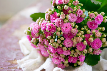 Kalanchoe flowering pink bouquet on vintage background, selectiv