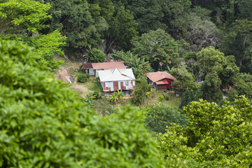 Fototapeta na wymiar La Digue Farms, Seychelles