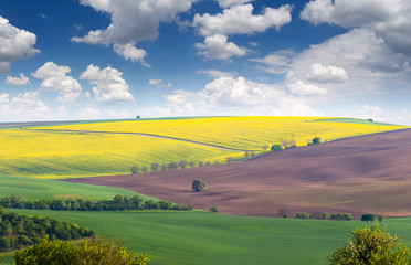 Wonderful Landscape of fields in colorful hills, big size