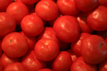 Salsadi pomodoro biologico