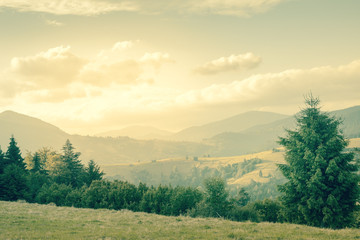 Summer day is in mountain landscape - vintage style
