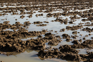 Agriculture mud soil field in a water flood