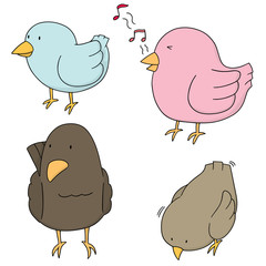 vector set of bird