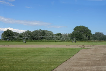 culture de pelouse de sport