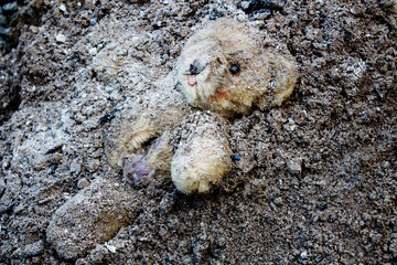 Lacerated and abandoned teddy bear