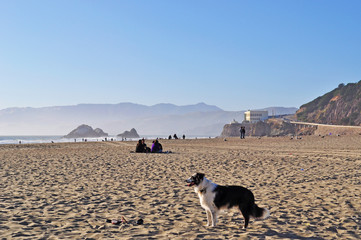 San Francisco: vista di Ocean Beach il 17 giugno 2010. La spiaggia di Ocean Beach, sull'Oceano...