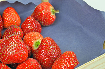 Frische Erdbeeren auf einer Palette / 