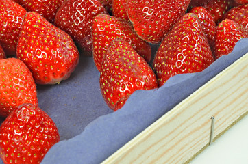 Frische Erdbeeren auf einer Palette / 