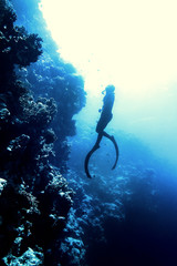 Freediver swim in the sea - 112477417