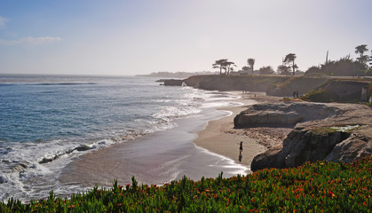 Santa Cruz, California: la scogliera, la spiaggia e la costa di Santa Cruz il 15 giugno 2010. Santa Cruz è famosa per la bellezza della sua costa e per essere il paradiso dei surfisti - obrazy, fototapety, plakaty