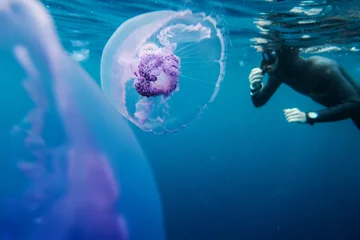 Rolgordijnen Duiken Freediver swim in the sea with jellyfish